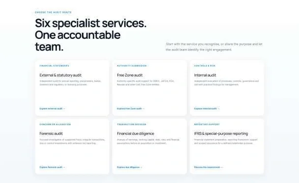 Six audit services presented by client requirement.